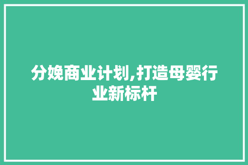 分娩商业计划,打造母婴行业新标杆