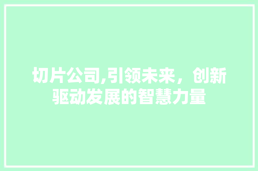 切片公司,引领未来，创新驱动发展的智慧力量