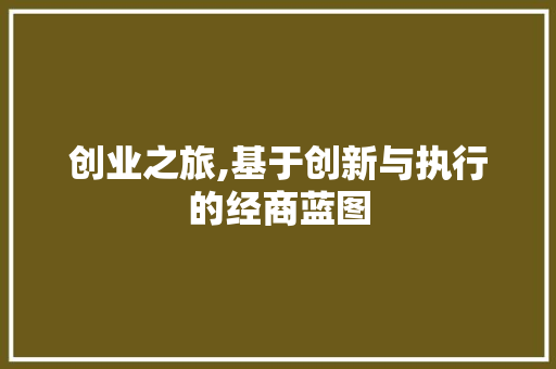 创业之旅,基于创新与执行的经商蓝图