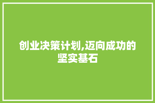 创业决策计划,迈向成功的坚实基石