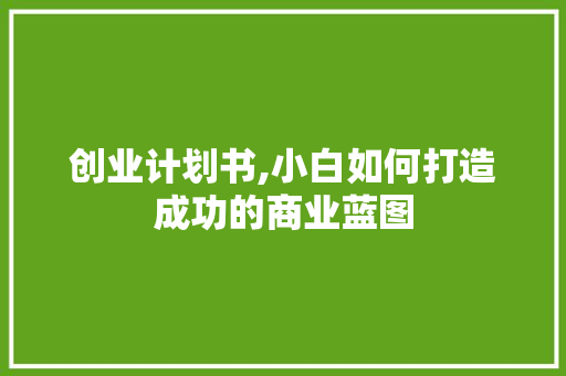 创业计划书,小白如何打造成功的商业蓝图