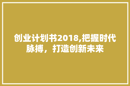 创业计划书2018,把握时代脉搏，打造创新未来