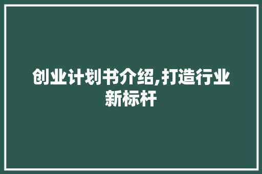 创业计划书介绍,打造行业新标杆