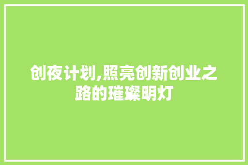 创夜计划,照亮创新创业之路的璀璨明灯