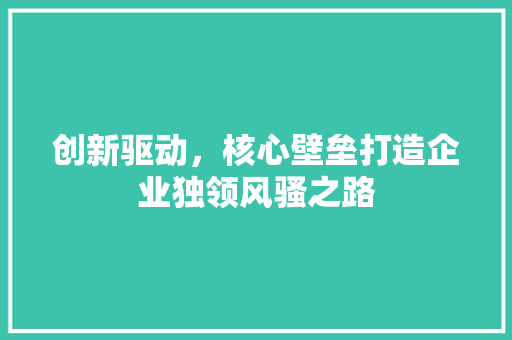 创新驱动，核心壁垒打造企业独领风骚之路