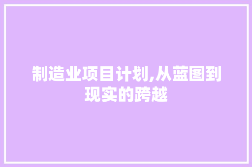 制造业项目计划,从蓝图到现实的跨越