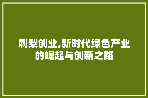 刺梨创业,新时代绿色产业的崛起与创新之路