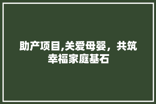 助产项目,关爱母婴，共筑幸福家庭基石