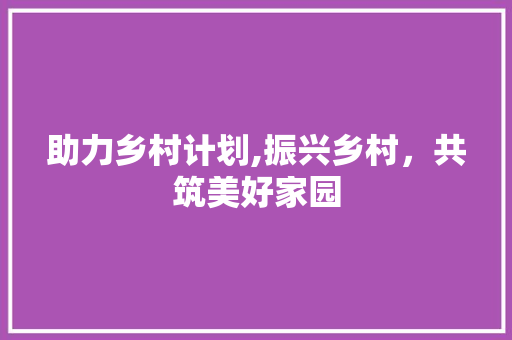 助力乡村计划,振兴乡村，共筑美好家园