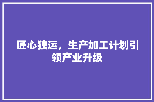 匠心独运，生产加工计划引领产业升级