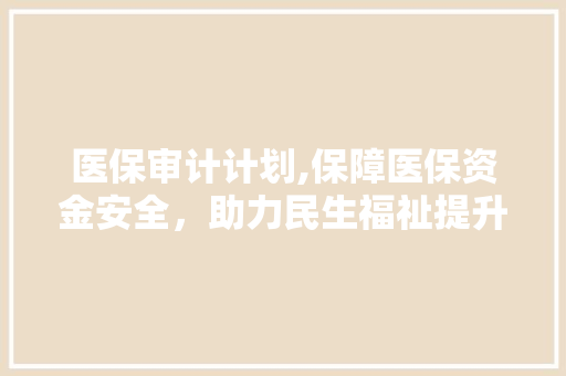医保审计计划,保障医保资金安全，助力民生福祉提升