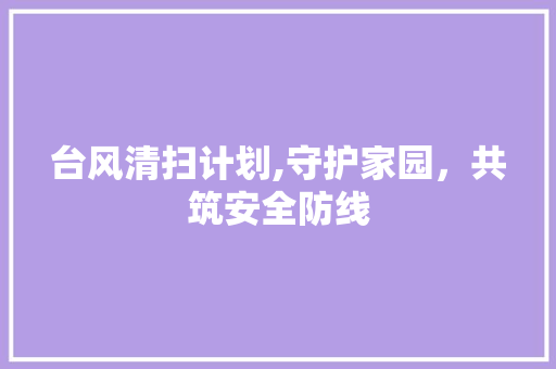 台风清扫计划,守护家园，共筑安全防线