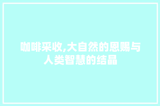 咖啡采收,大自然的恩赐与人类智慧的结晶