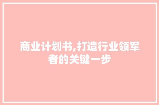 商业计划书,打造行业领军者的关键一步
