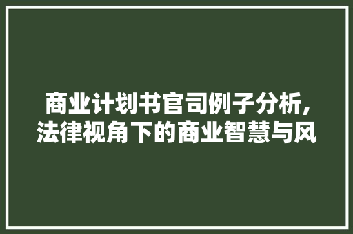 商业计划书官司例子分析,法律视角下的商业智慧与风险规避