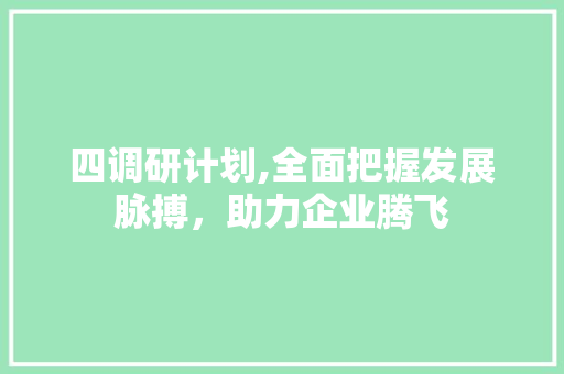 四调研计划,全面把握发展脉搏，助力企业腾飞