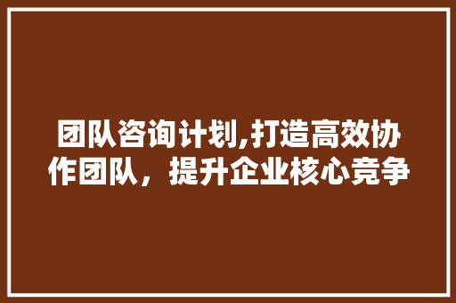 团队咨询计划,打造高效协作团队，提升企业核心竞争力