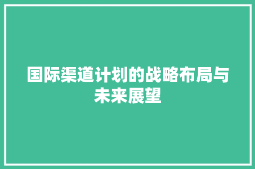 国际渠道计划的战略布局与未来展望
