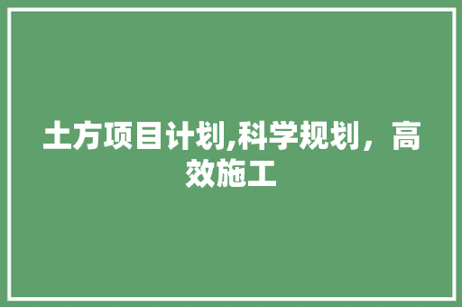 土方项目计划,科学规划，高效施工