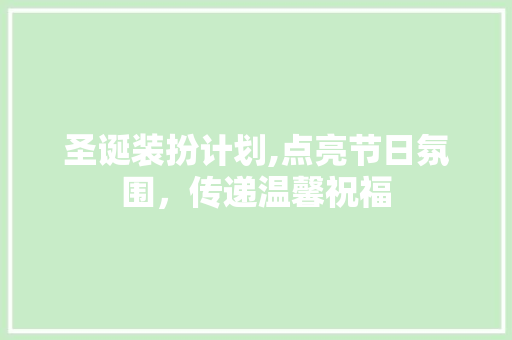 圣诞装扮计划,点亮节日氛围，传递温馨祝福