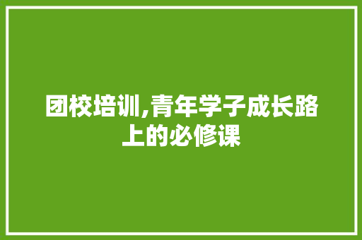 团校培训,青年学子成长路上的必修课