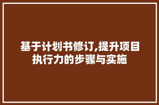 基于计划书修订,提升项目执行力的步骤与实施