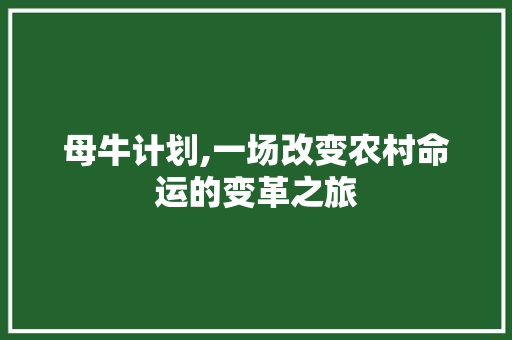母牛计划,一场改变农村命运的变革之旅