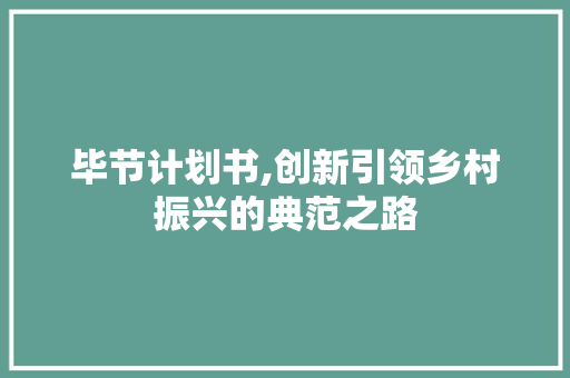 毕节计划书,创新引领乡村振兴的典范之路