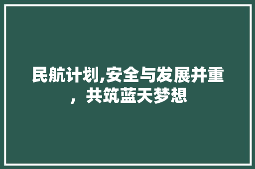 民航计划,安全与发展并重，共筑蓝天梦想
