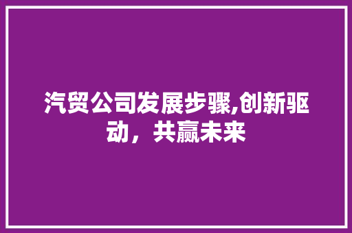 汽贸公司发展步骤,创新驱动，共赢未来