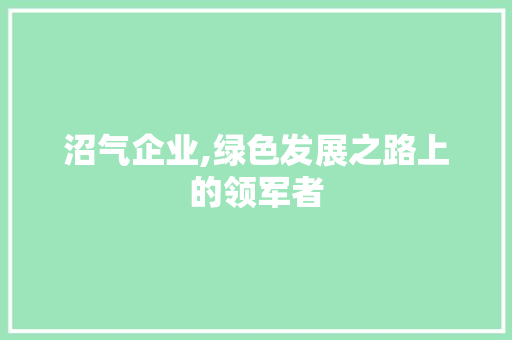 沼气企业,绿色发展之路上的领军者