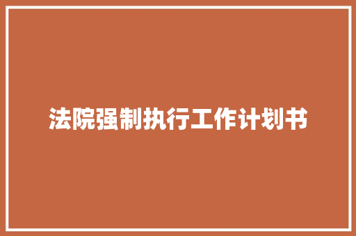 法院强制执行工作计划书