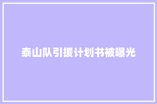 泰山队引援计划书被曝光