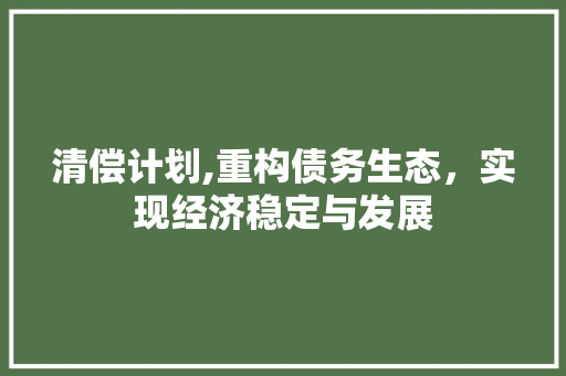 清偿计划,重构债务生态，实现经济稳定与发展