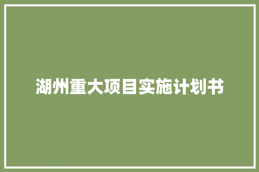 湖州重大项目实施计划书