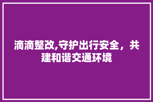 滴滴整改,守护出行安全，共建和谐交通环境