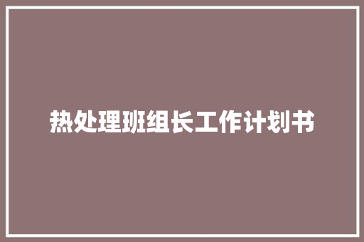 热处理班组长工作计划书