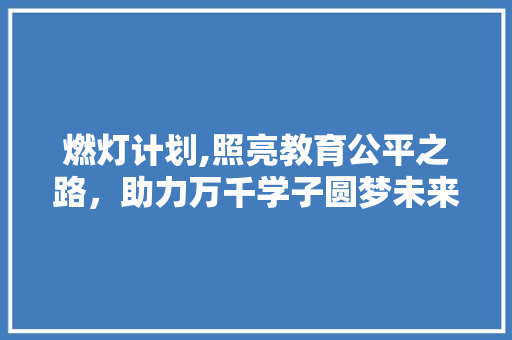 燃灯计划,照亮教育公平之路，助力万千学子圆梦未来