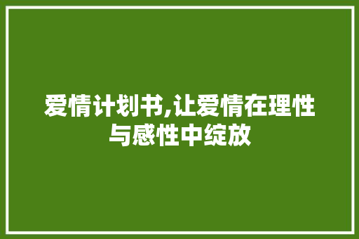 爱情计划书,让爱情在理性与感性中绽放