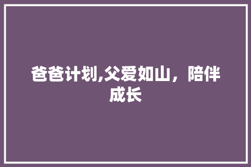 爸爸计划,父爱如山，陪伴成长