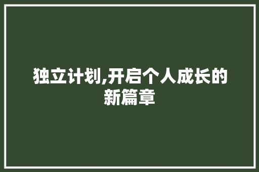独立计划,开启个人成长的新篇章
