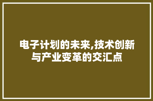 电子计划的未来,技术创新与产业变革的交汇点 报告写作