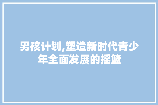 男孩计划,塑造新时代青少年全面发展的摇篮