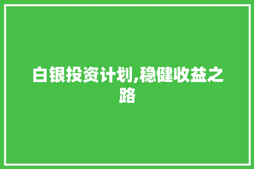 白银投资计划,稳健收益之路 报告写作