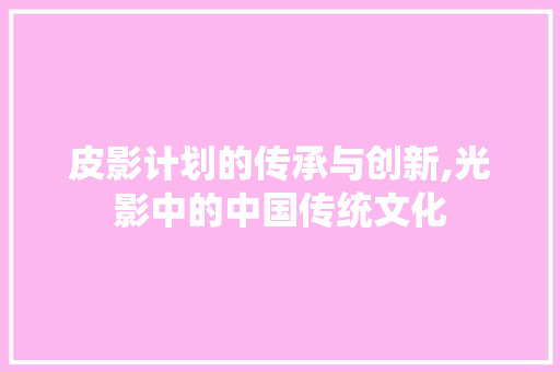 皮影计划的传承与创新,光影中的中国传统文化