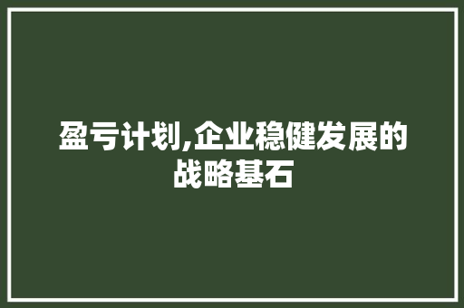 盈亏计划,企业稳健发展的战略基石