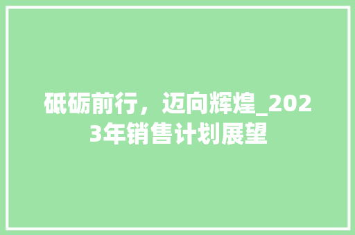 砥砺前行，迈向辉煌_2023年销售计划展望