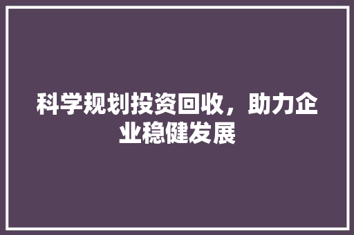 科学规划投资回收，助力企业稳健发展