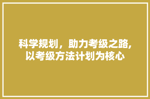 科学规划，助力考级之路,以考级方法计划为核心