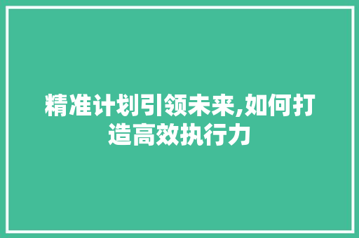 精准计划引领未来,如何打造高效执行力